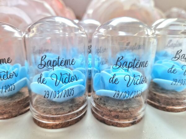 Mini dômes en verre avec rose bleue